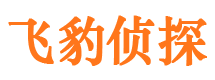 山阳侦探公司